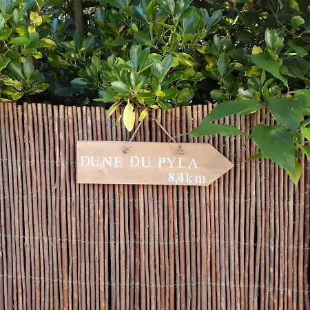 Le Petit D'arcachon *